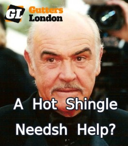 Sean Connery Pun